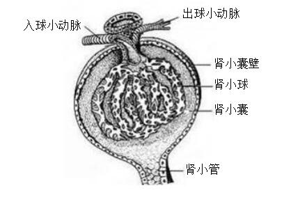 39.jpg 39.jpg